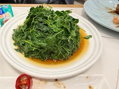 -海金滋(陕西南路店)