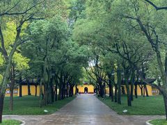 -西园戒幢律寺