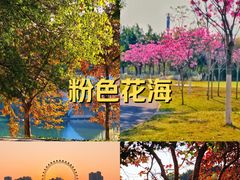 -鹤之洲湿地公园