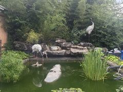 -丽泽山庄·生态怀柔菜·虹鳟鱼(红螺寺店)