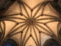 -瓦伦西亚大教堂