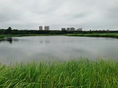 -哈尔滨大剧院