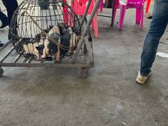 -姐妹四更烤猪店