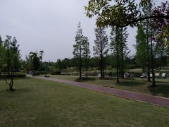-两河城市森林公园