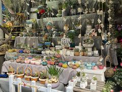 -循礼门鲜花花市(武汉循礼门店)