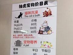 -袖虎宠物·金渐层缅因猫舍(灵芝店)