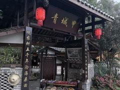 -青城甲(青城山店)
