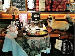 -杂咖zacup(领展中心城店)