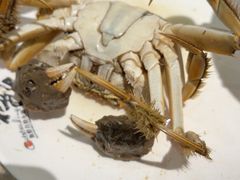 -初色海鲜自助(万丰路店)