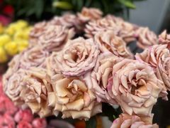 -循礼门鲜花花市(武汉循礼门店)