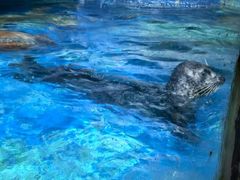 -太平洋海底世界