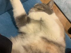 -藦茜花园宠物主题亲子互动体验馆(国顺东路店)