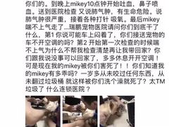 -瑞鹏宠物医院·微创内窥镜·骨外科·牙科(翠竹分院)