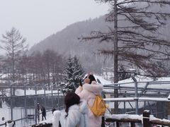 -横道河子东北虎林园