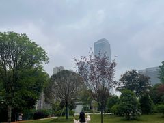 -木塔寺遗址生态公园