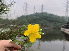 -重庆园博园