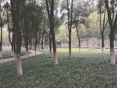 -后襄河公园