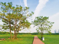 -盘龙城国家考古遗址公园