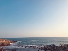 -广东惠东海龟国家级自然保护区
