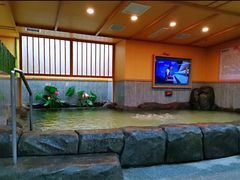 -汤泉良子.足疗按摩.SPA(中关村店)