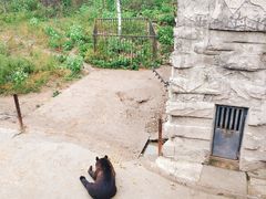 -哈尔滨北方森林动物园
