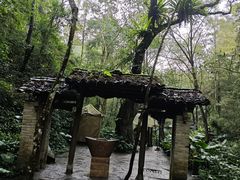 -桂林古东瀑布景区