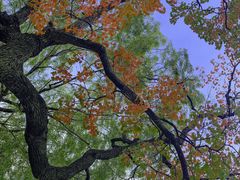 -南通濠河风景名胜区