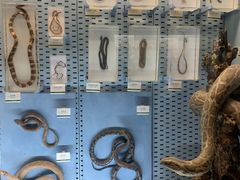 -浙江自然博物院(杭州馆)