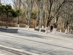 -青城公园