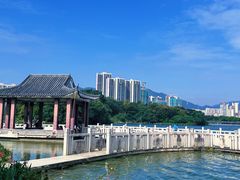 -飞来湖湿地公园