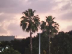 -广州白云国际机场-T2航站楼