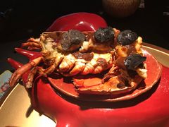 -地球美食剧场