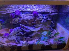 -Rabbit Cafe私房西餐甜点咖啡(栖霞路店)