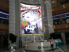 -河南省人民医院(院本部)