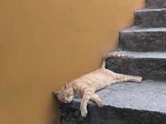 -宝通禅寺