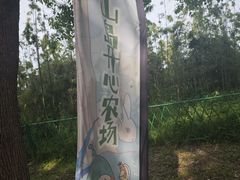 -苏州太湖西山岛开心农场