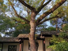 -金典银峰老鹅馆·昆山菜(亭林公园店)