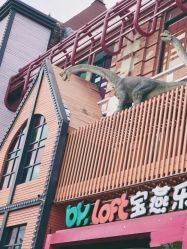 -宝燕乐园(闵行旗舰店)