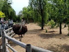 -大连森林动物园