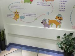 -瑞派申生动物医院·24H夜诊·国际动物医疗中心·骨外科(吴中路店)