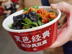 -黑色经典臭豆腐·湖南特产(坡子街店)