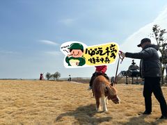 -苏州海洋馆