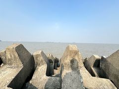 -上海滨江森林公园