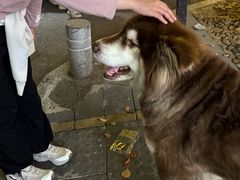 -健跳小海鲜(人民路店)