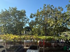 -钰田大院·碳烤虹鳟鱼·怀柔地道农家菜(雁栖湖店)