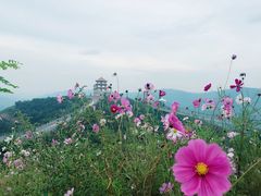 -铜川市金锁关石林