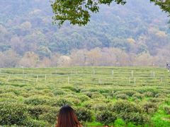 -中国茶叶博物馆(双峰馆区)
