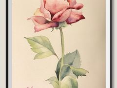 -六出私塾LiuChu•成人美术书法系统课程专业画室(熊婆婆的花园店)
