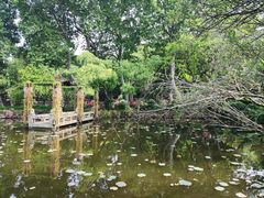 -上海醉白池公园