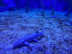 -海合安天津极地海洋公园